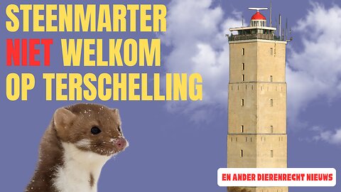 Dierenrechtnieuws 9 maart 2025 met Marco van Duijn en Erwin Vermeulen