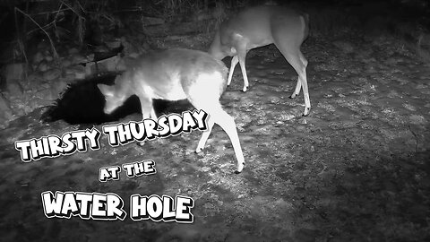 Thirsty Thursday at the Water Hole!