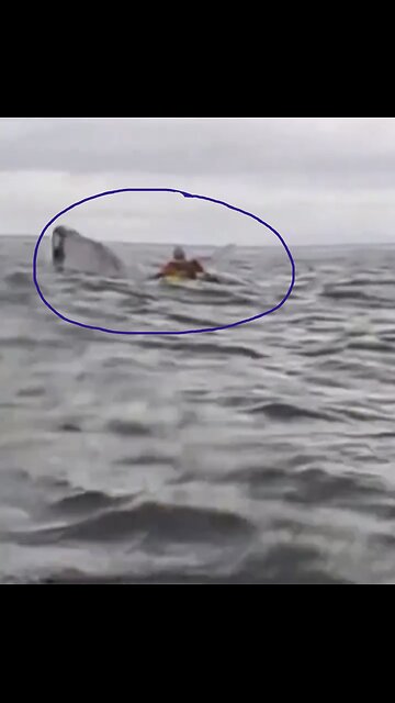 WHALE SWALLOWS MAN🚣‍♂️🐳📸🚣WHILE KAYAKING OFF COAST PUNTA-ARENAS IN CHILE🇨🇱🌊🚣‍♂️💫