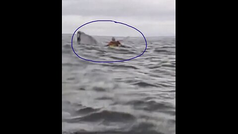 WHALE SWALLOWS MAN🚣‍♂️🐳📸🚣WHILE KAYAKING OFF COAST PUNTA-ARENAS IN CHILE🇨🇱🌊🚣‍♂️💫