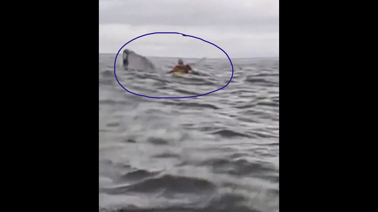 WHALE SWALLOWS MAN🚣♂️🐳📸🚣WHILE KAYAKING OFF COAST PUNTA-ARENAS IN CHILE🇨🇱🌊🚣♂️💫