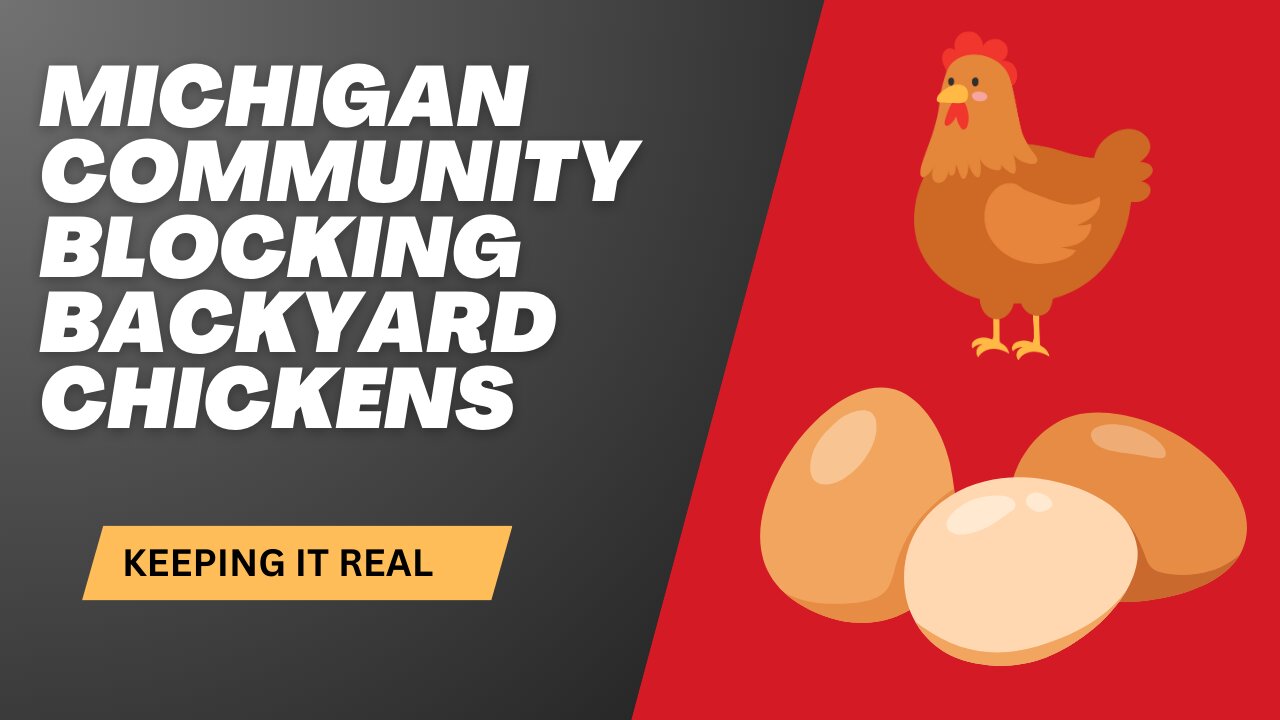 Keping it Real: Michigan township banning backyard chickens