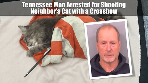 Tennessee Man Arrested for Shooting Neighbor’s Cat with a Crossbow