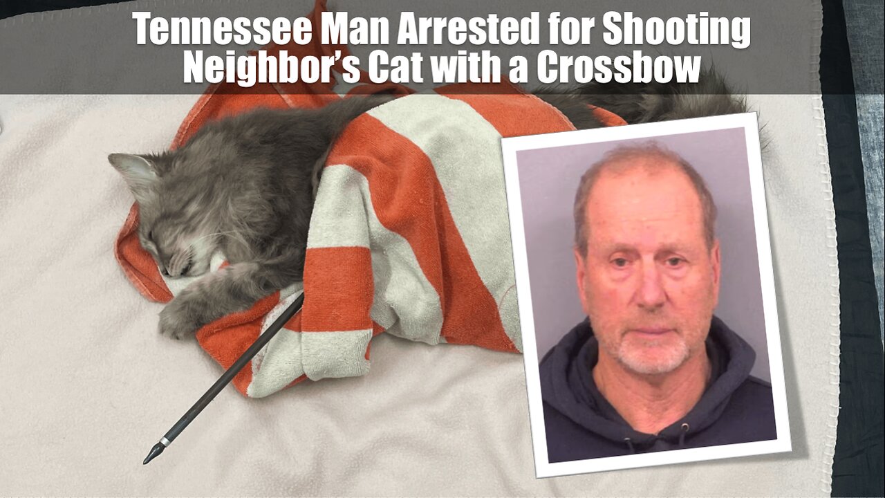 Tennessee Man Arrested for Shooting Neighbor’s Cat with a Crossbow