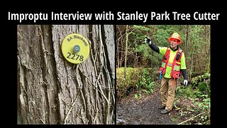 Impromptu Interview with Stanley Park Tree Cutter