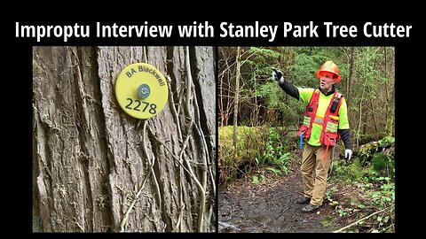 Impromptu Interview with Stanley Park Tree Cutter