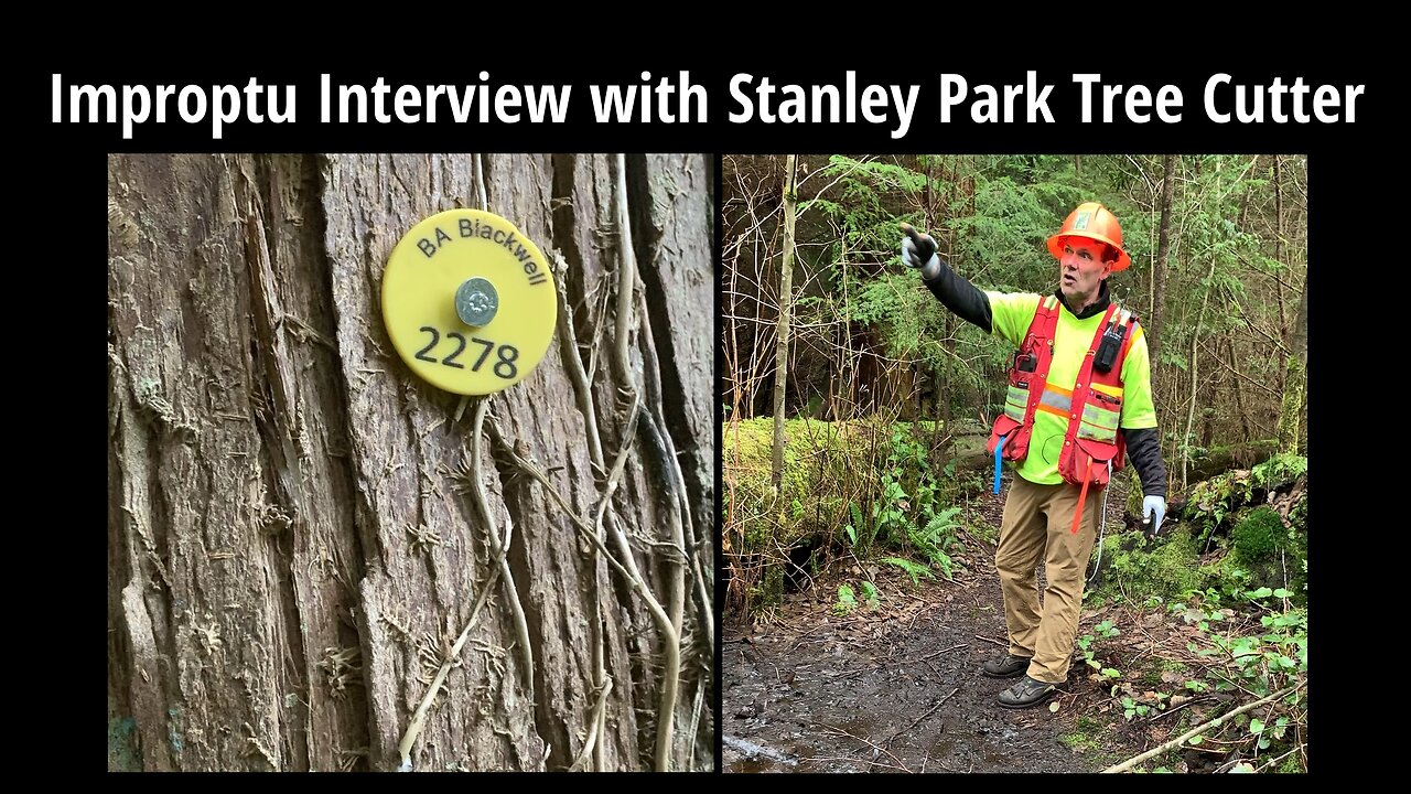 Impromptu Interview with Stanley Park Tree Cutter