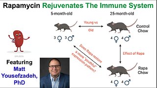 Rapamycin Rejuvenates The Immune System