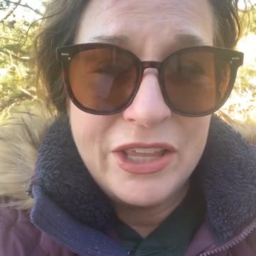 The Disappearance of Agatha Christie