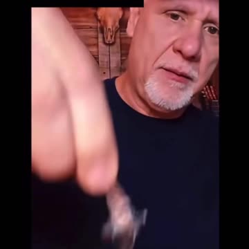 Bug drones? Looks like fake to me but I could be wrong..