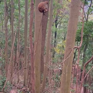 Is this guy too good at enjoying life