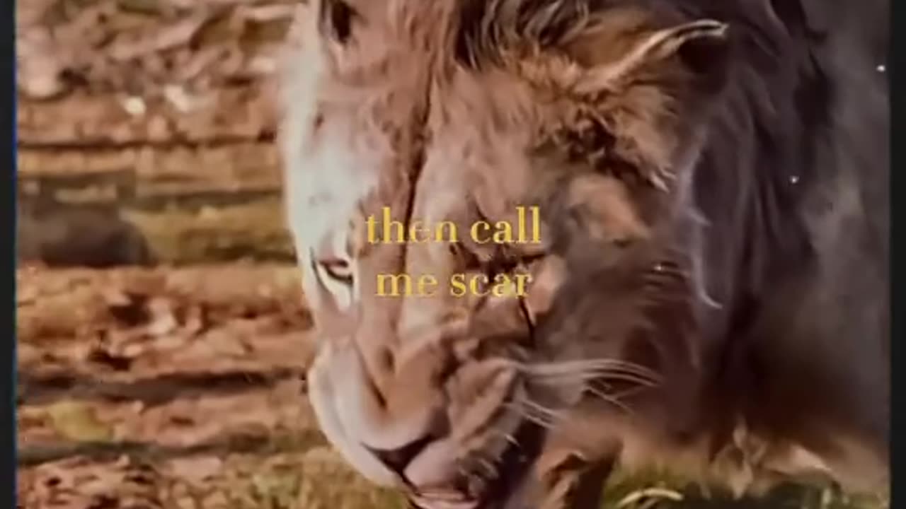 When Scar was given the name Scar