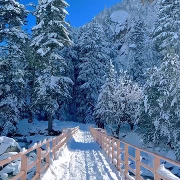 So Beautiful 😍 Place IN Earth 🌎 Switzerland 🇨🇭 Snowflake ❄️ #travel #zain #snow #snowfall #place