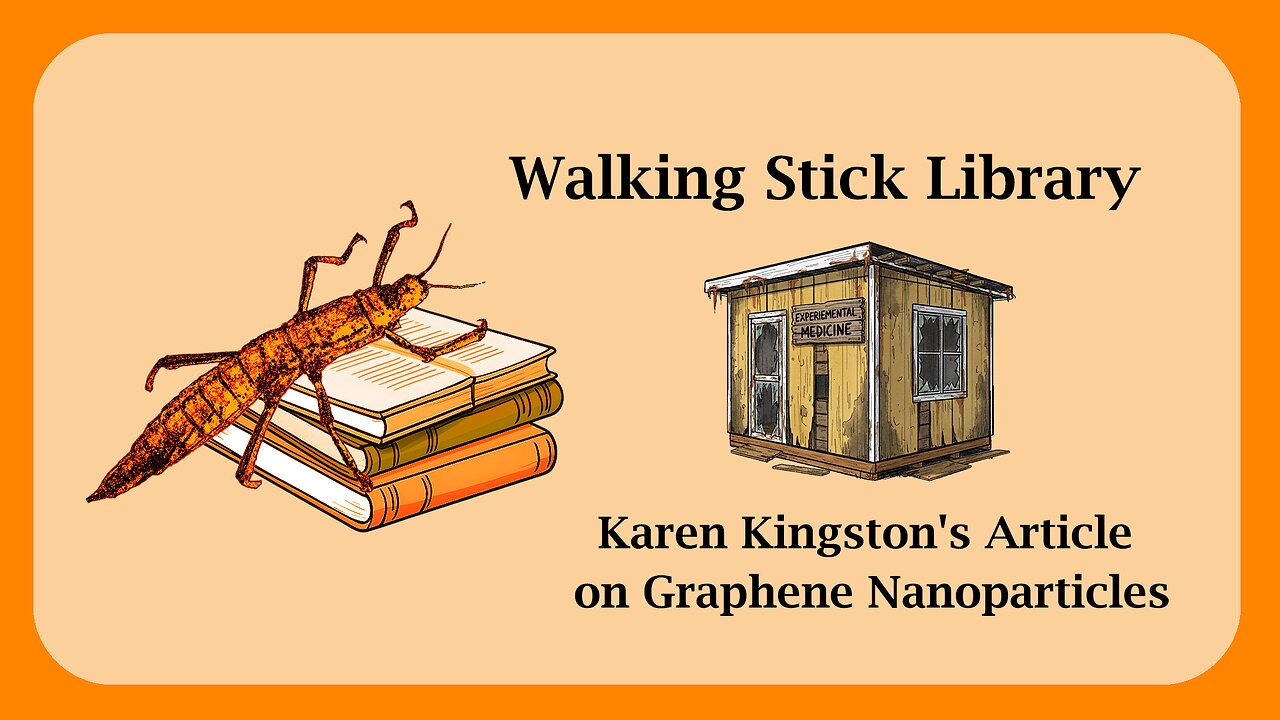 Karen Kingston's Article on Graphene Nanoparticles.