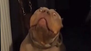 Dank Offensive Memes Compilation #213