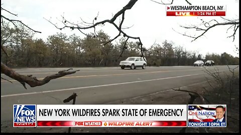 NEW YORK WILDFIRES SPARK STATE OF EMERGENCY