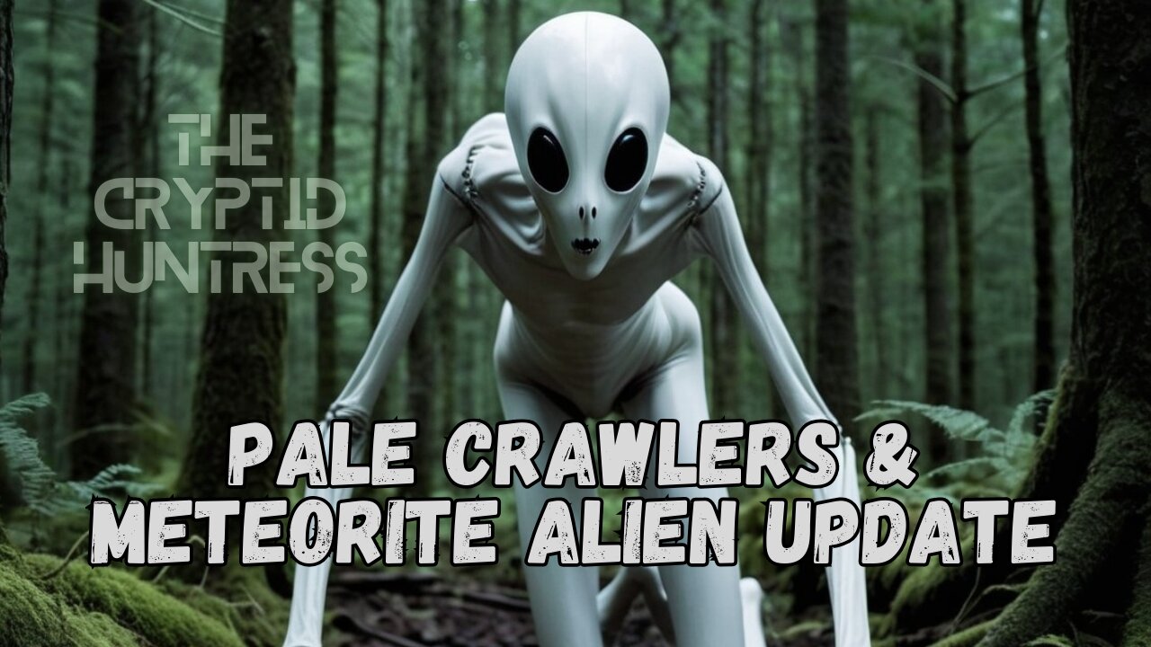 PALE CRAWLERS & METEORITE ALIEN UPDATE WITH JAMES RINK & BARRY LITTLETON