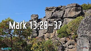Mark 13:28-37, Bible Reading in Nature, BSB