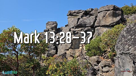 Mark 13:28-37, Bible Reading in Nature, BSB