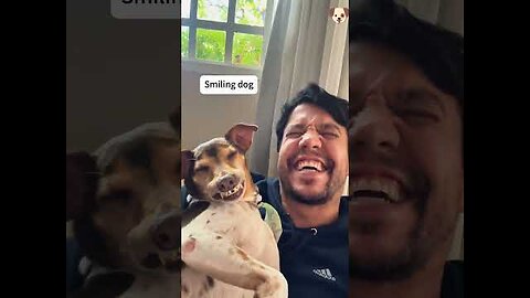 Dogs imitate human actions 🤣