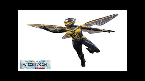 Ant-Man & The Wasp: Quantumania: Hot Toys 1/6 Scale Action Figure Review