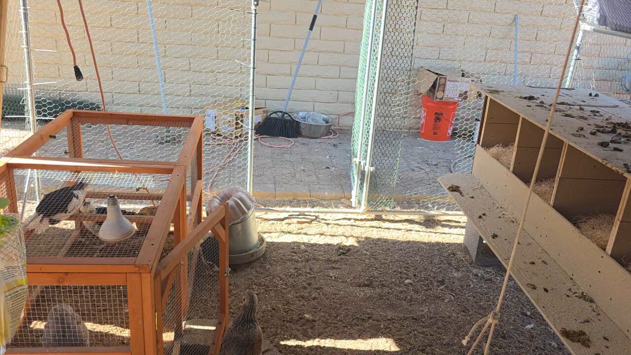 Fire-safe heaters for the hen house