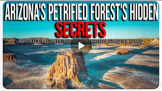 15 Mysteries from Arizona's Petrified Forest the World Wasn't Supposed to Know - Northern Mysteries