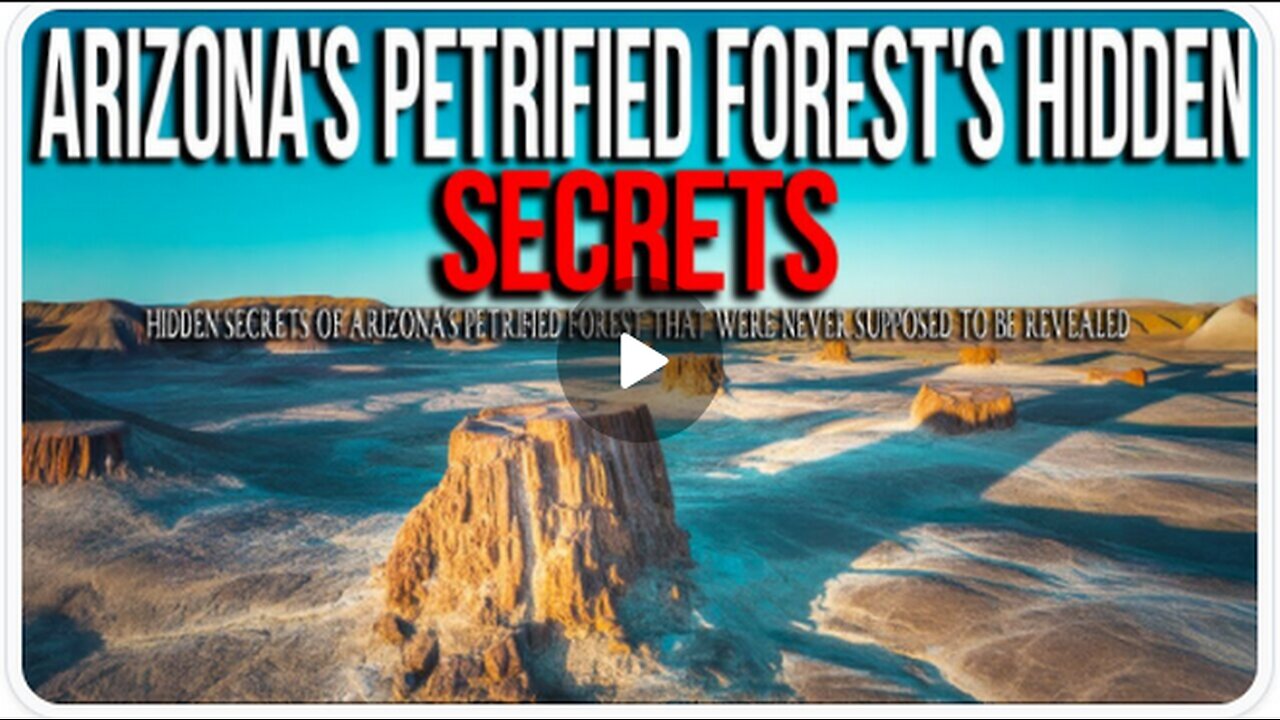 15 Mysteries from Arizona's Petrified Forest the World Wasn't Supposed to Know - Northern Mysteries