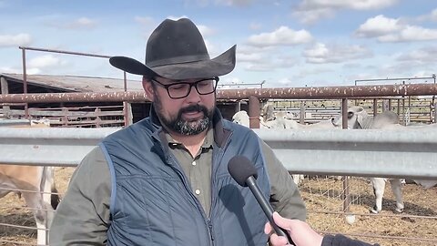 Why Does Beef Cost So Much And Why Has The Number Of Cattle Dropped?