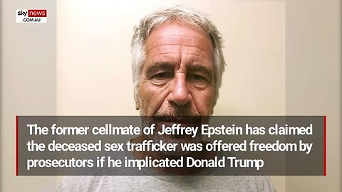 Jeffrey Epstein's cellmate claims paedophile was offered freedom to implicate Trump