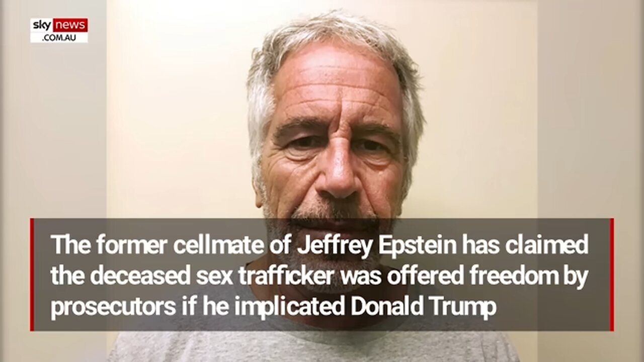 Jeffrey Epsteins cellmate claims paedophile was offered freedom to implicate Trump