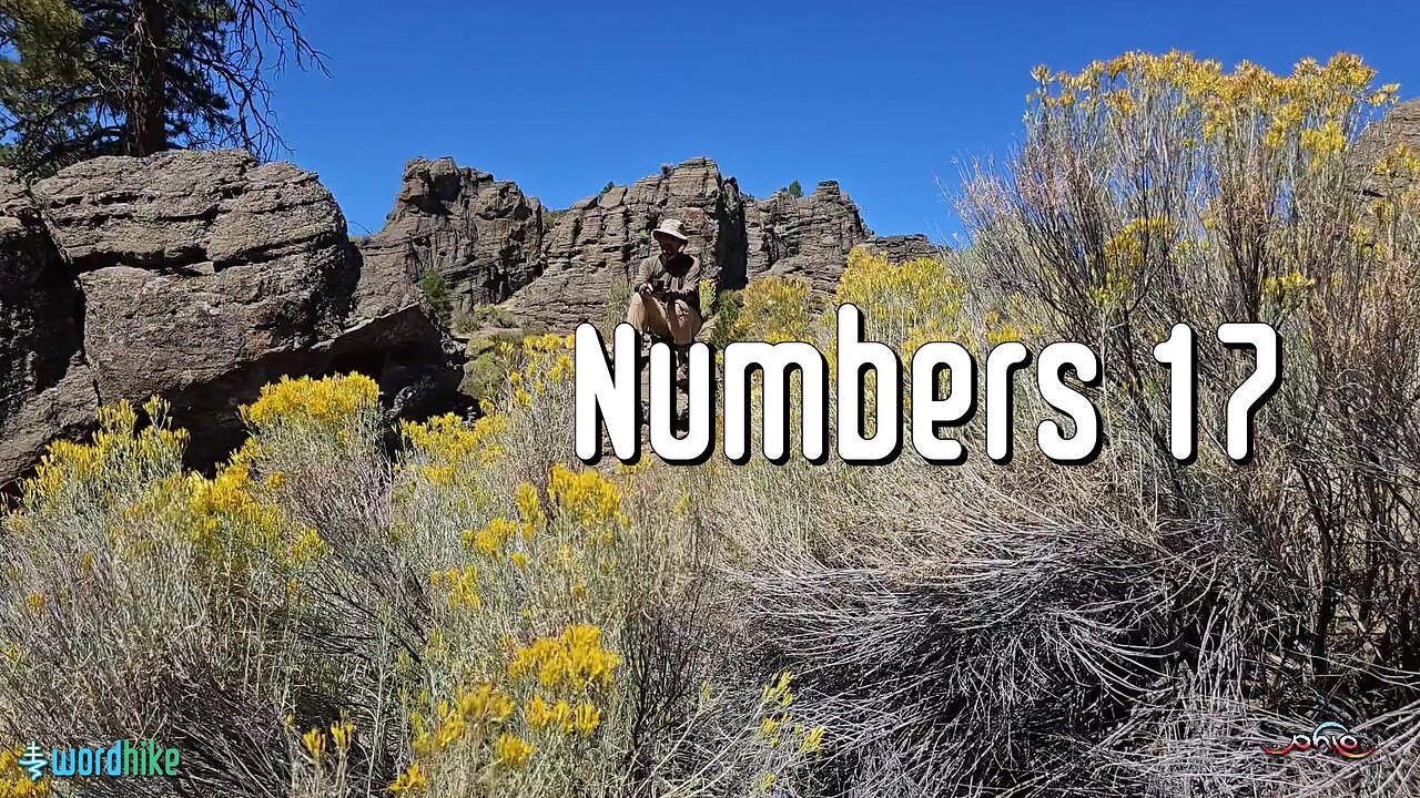 Numbers 17, Bible Reading in Nature, BSB