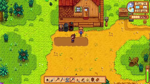 stardew valley