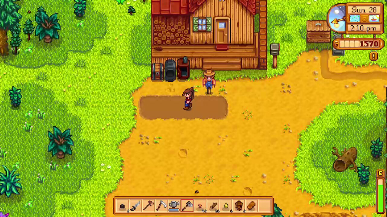 stardew valley