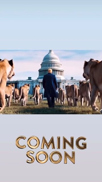 no more sleeping lions