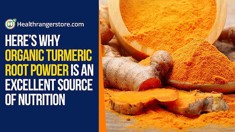 Here’s why Organic Turmeric Root Powder is an excellent source of nutrition