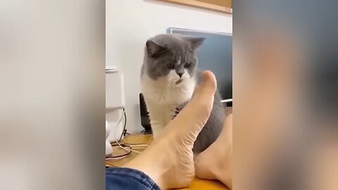 The Funniest Internet Videos That’ll Make You Laugh Till It Hurts 😂😁 Funny videos