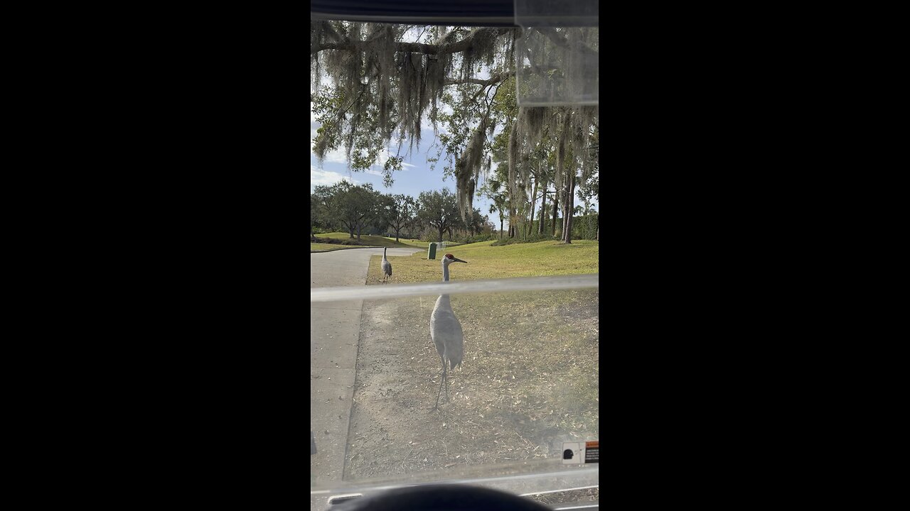 This guy needs a lesson. How is his stance and posture?