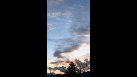 Daily Verse December 31st 2025