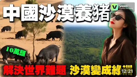 China raises 100,000 pigs turn desert into green pasture and the pork there selling at 10x more