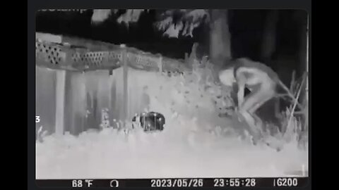 Video floating around of alleged security footage of alien seen in Las Vegas (The Alien Deception?)