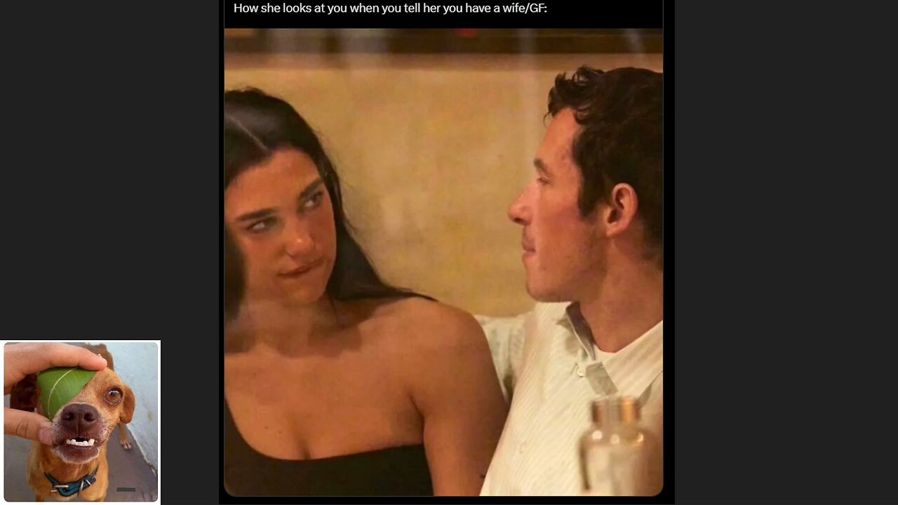 Memes That Will 99.0443% Make You Laugh. (e667)