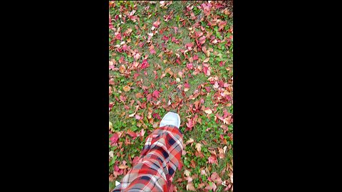⭕️Autumn Hike at St. Norbert Provincial Park Manitoba | Red & Yellow Fall Leaves Walking Trail