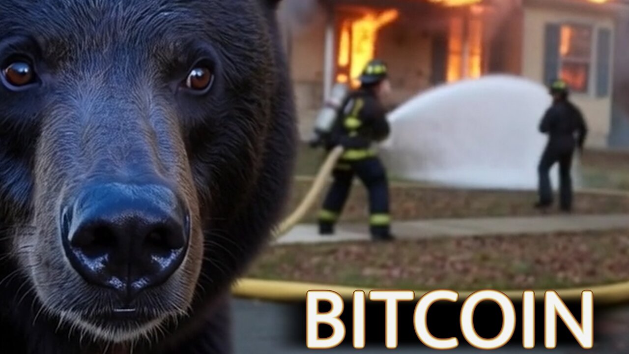 How To Outrétard The Bitcoin Market🚨