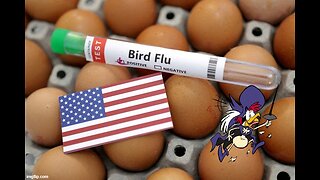 White Hats Arrest FDA Official after Finding BIRD FLU Samples in his House Fridge + A Word by JGM