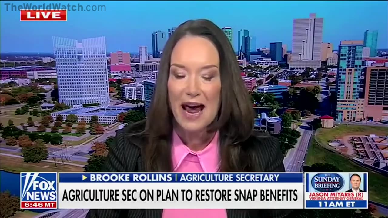 The level of fraud is staggering