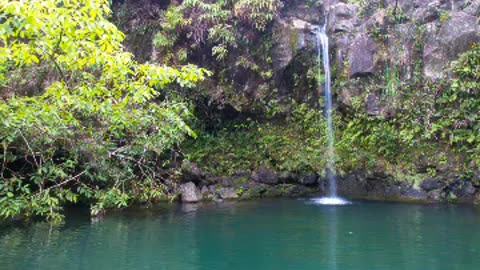 puʻu ʻualakaʻa state wayside park