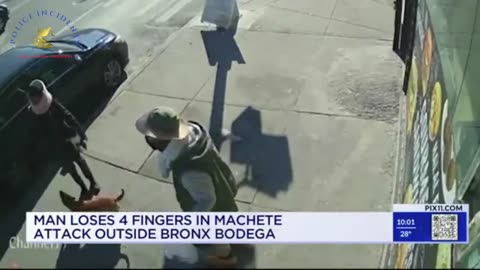 Bronx Man Loses Fingers Defending Dog from Machete Attack