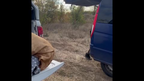 🚚🇺🇦 Ukraine Russia War | Oleksandr Evacuates Elderly and Cat from Kharkiv | RCF