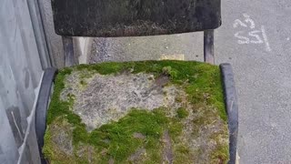 😱🏙️ A Birdseye View of This Shocking Scene! | FunFM